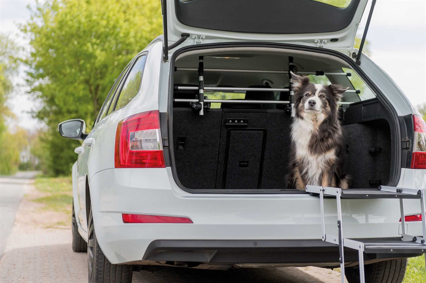 prod1000-image_dog_bordercollie-sonic-falttreppe-auto-8.png