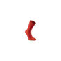 Autumn Red
