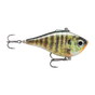 Live Bluegill