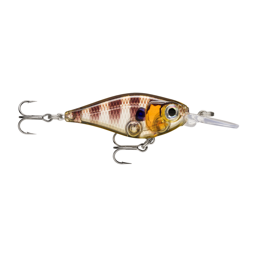 image-247222311749-image_ukg0kthj8t7fp5ad478eoh4o03--s1536x2048-fpng-153604_swatch.png