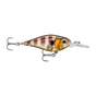 Glassy Gill UV