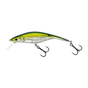 Olive Minnow