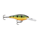 api-2000x2000,fit-new-117105.png
