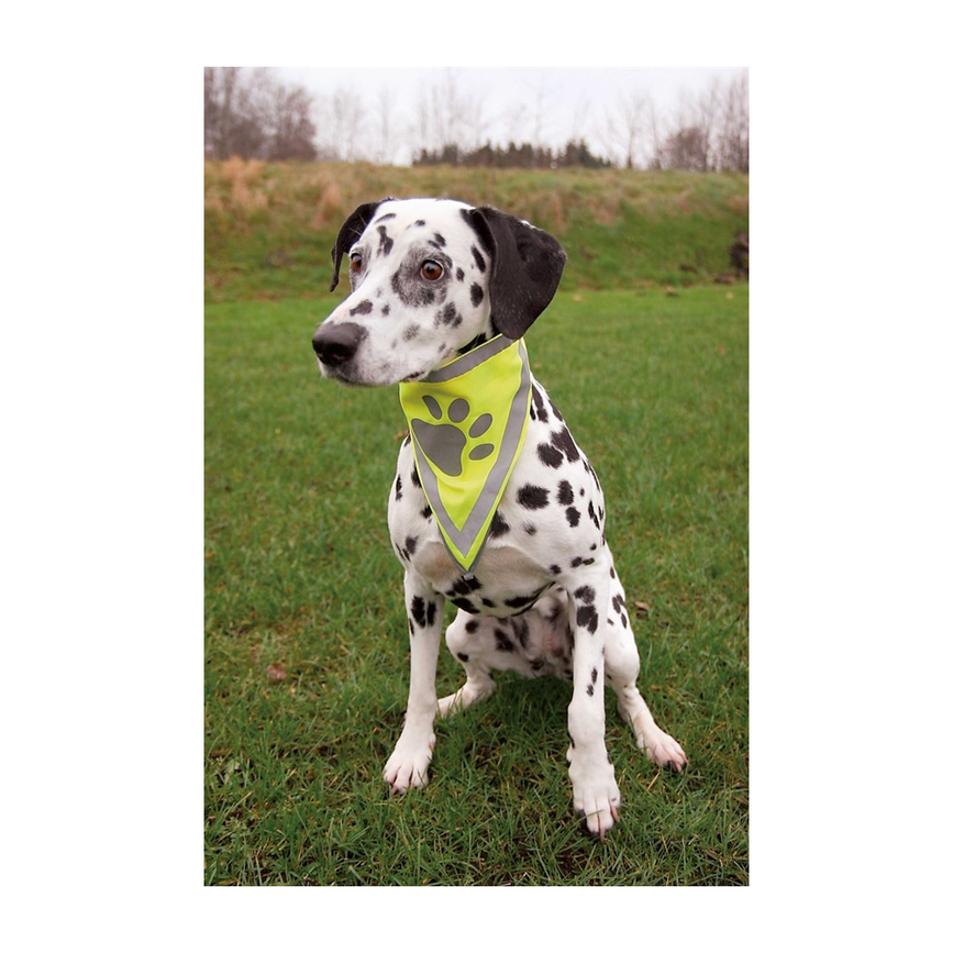prod1000-dog_30121-30123-1.png
