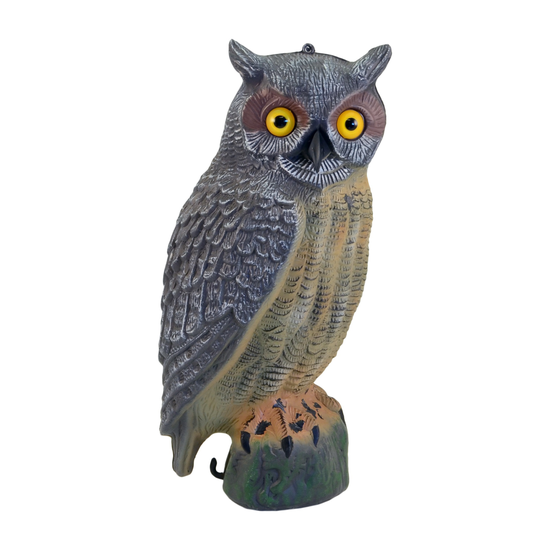 assets-blobs-grey-oak-great-horned-owl-grey-0841951e7a.png