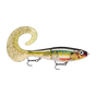 Rock n Roach