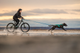 freemotion_harness_5_aqua_setting_1.png