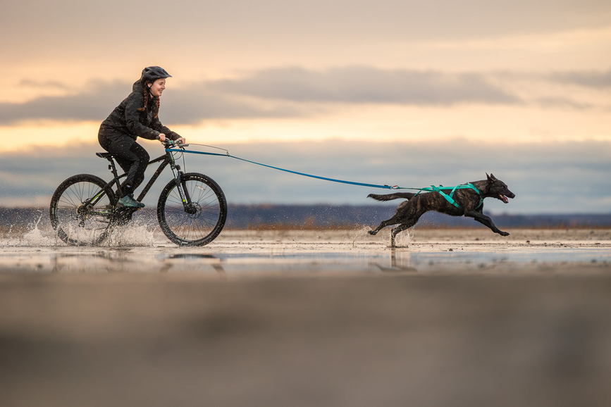 freemotion_harness_5_aqua_setting_1.png