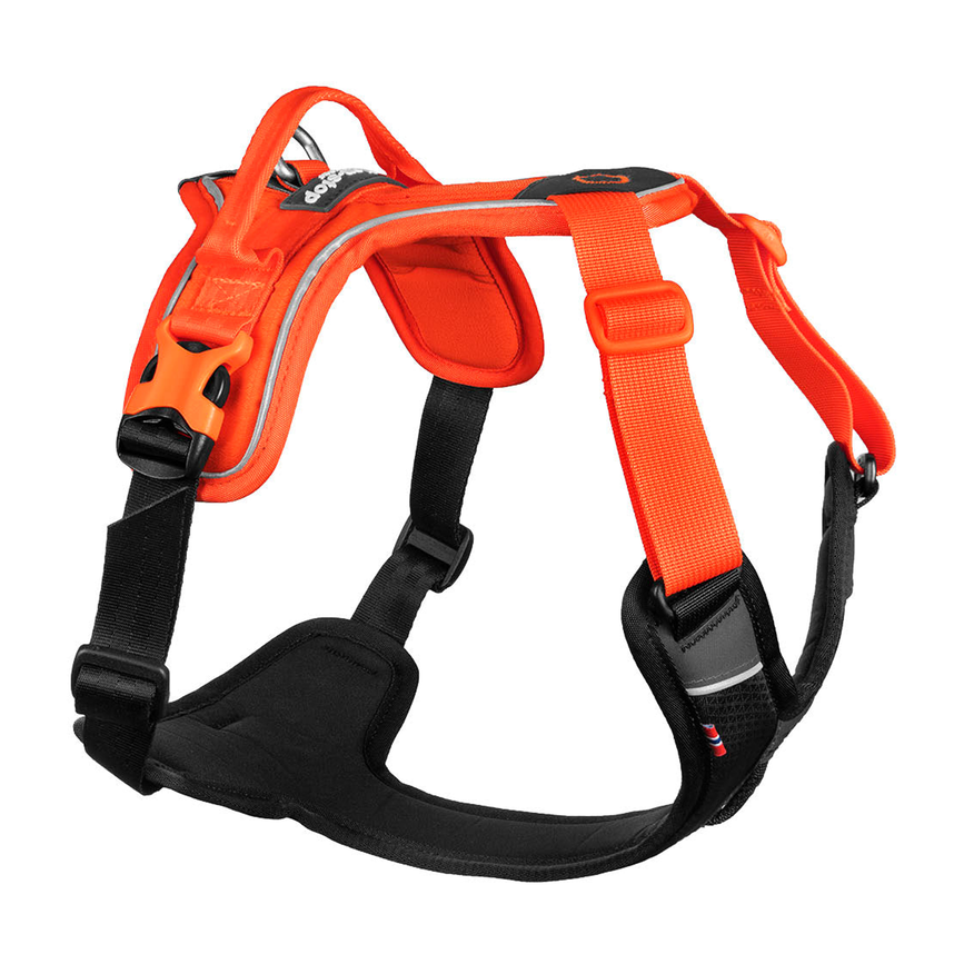 ramble_harness_2.png