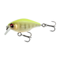 Fluorescent Yellow Tiger