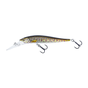 Brown Trout Fry