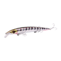 Barracuda