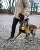solid_leash_wd_setting_11.png