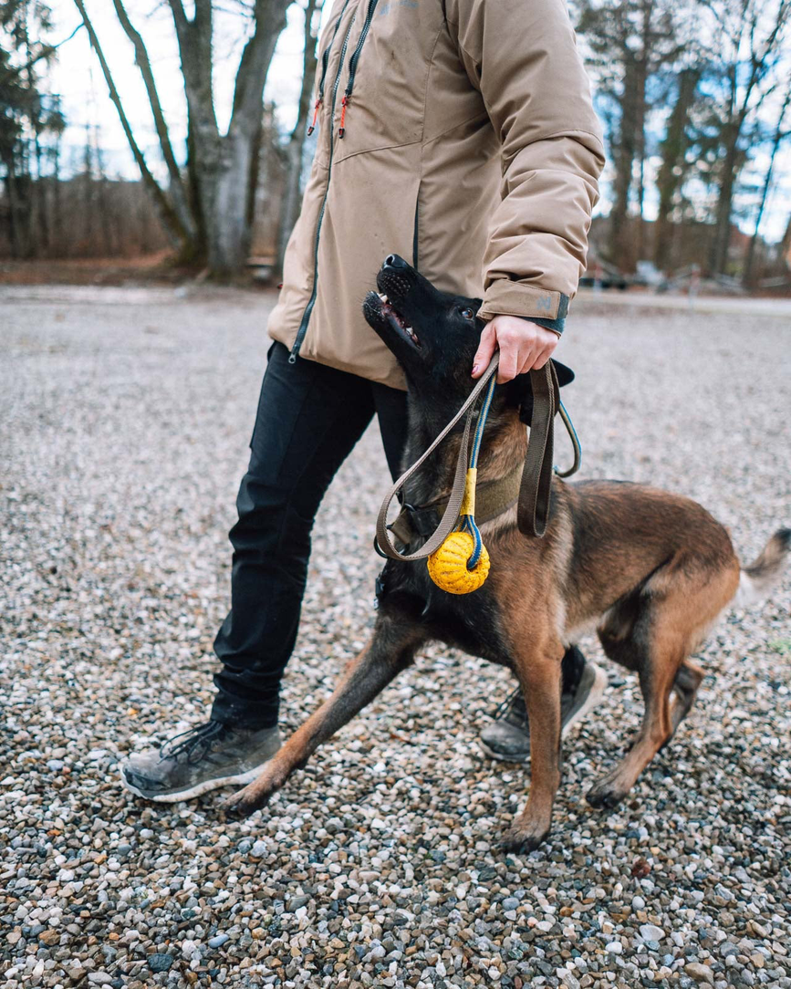solid_leash_wd_setting_11.png