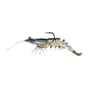 White Shrimp