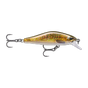 Live Brown Trout