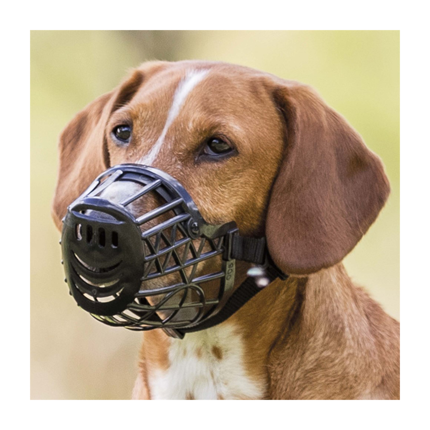 images-prod1000-17601-17607-1.png