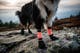 protector_bootie_high_setting_2.jpg