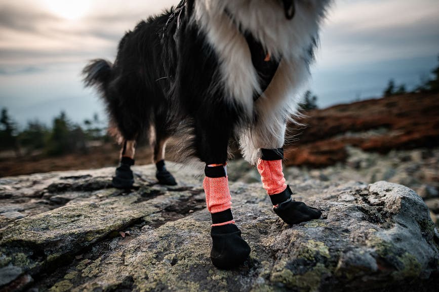 protector_bootie_high_setting_2.jpg
