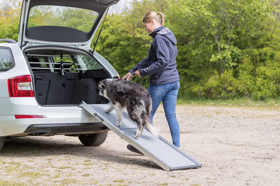 prod1000-image_dog_bordercollie-cooper-teleskoprampe-auto-4.png
