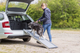 prod1000-image_dog_bordercollie-cooper-teleskoprampe-auto-4.png