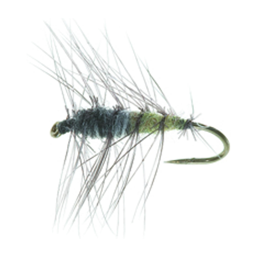 4-fairpoint-public-pim-bc-79d4e541-5ada-4f5e-a46e-df2b21d52ff9-fl35099p_fl35016_large.png