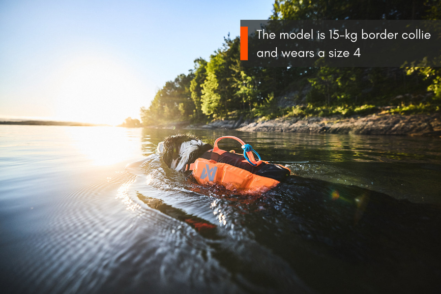 protector_life_jacket_setting_1.png