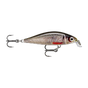 Live Roach