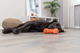 prod1000-pro_dog_35251-4.png