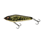 Golden Burbot