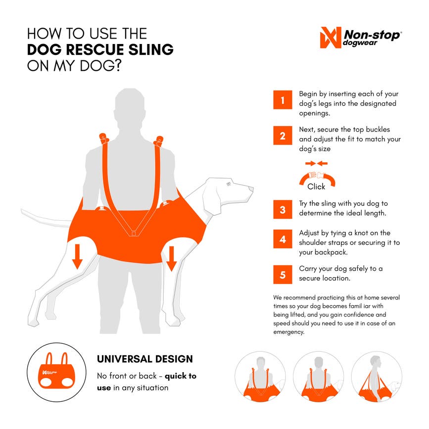 Howto-dog-rescue-sling-1to1-0325_1.jpg