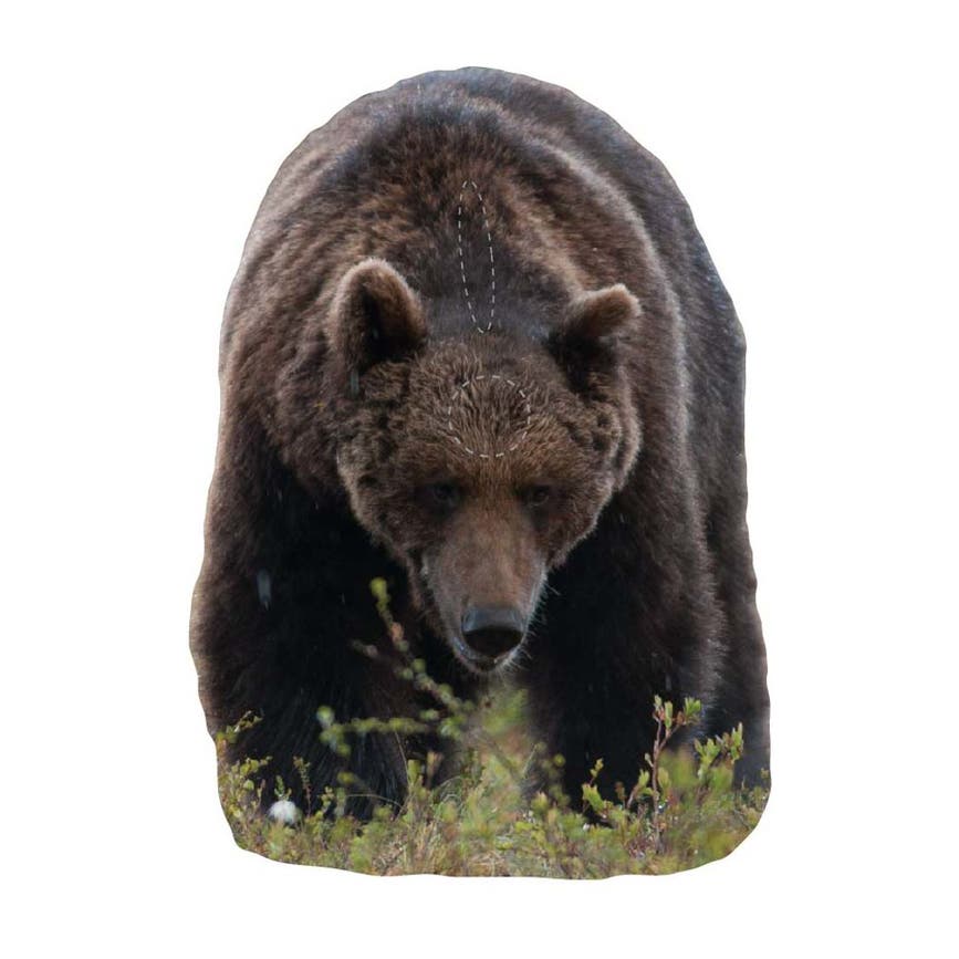 22-5103bjornfront.png