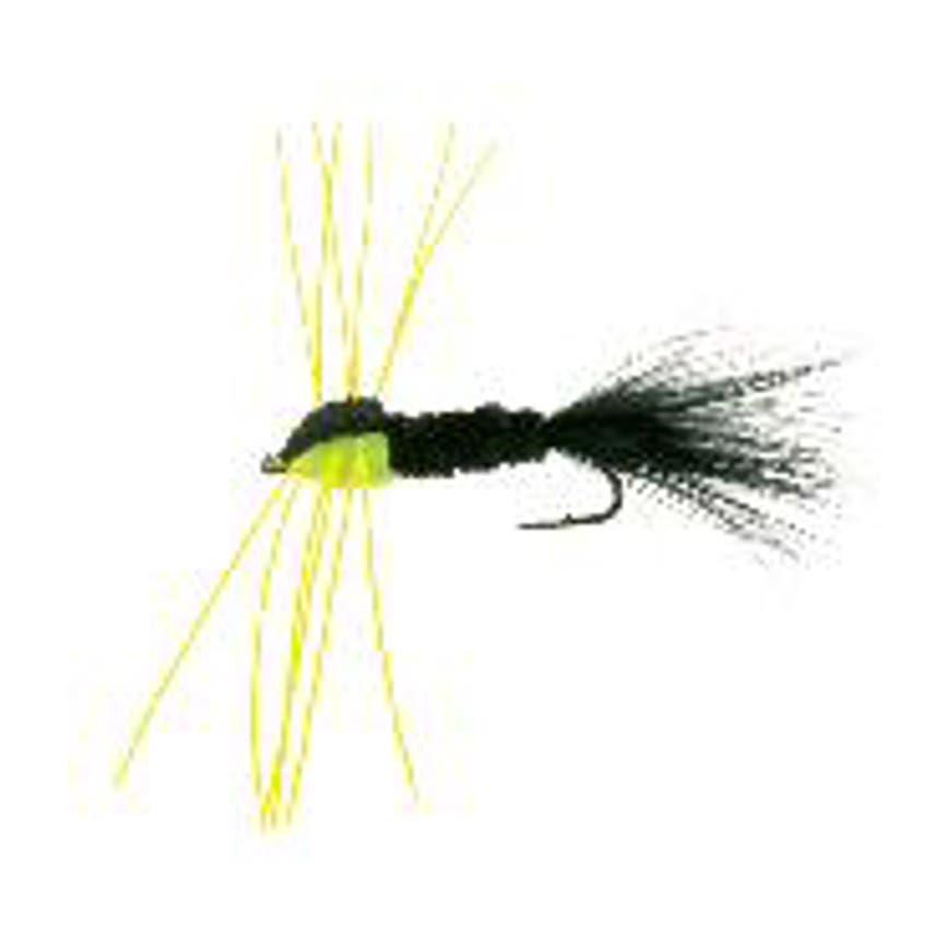 4-fairpoint-public-pim-bc-3d313f16-8023-4707-b005-7c745c891ec2-fl24099n_fl24026_large.png