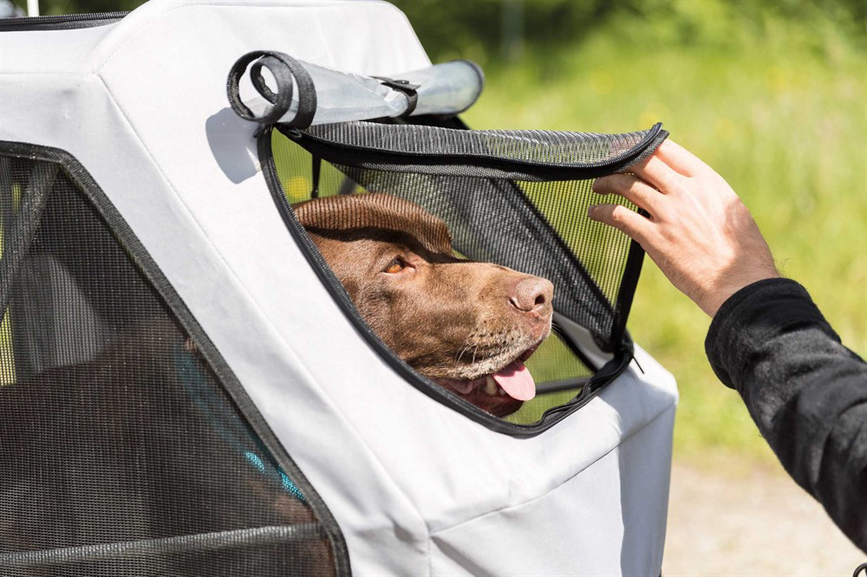prod1000-image_dog_labrador-piet-fahrradanhaenger-2.png