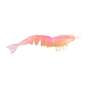 Laguna Shrimp