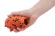 dogthrowtoy_8100_02.jpg