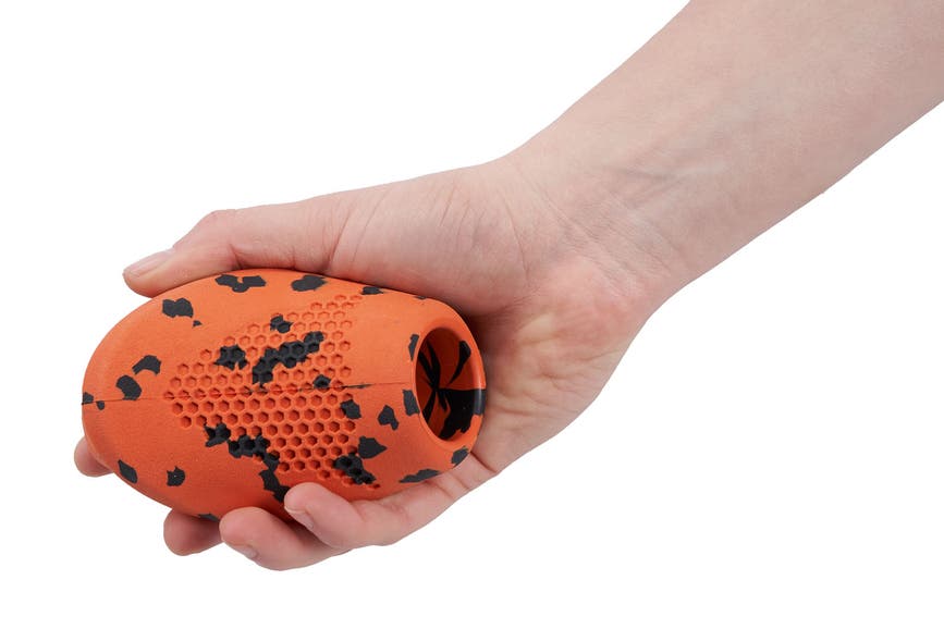 dogthrowtoy_8100_02.jpg