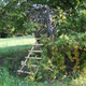 690909_2.png