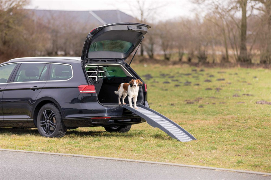 prod1000-pro_dog_39476-5.png