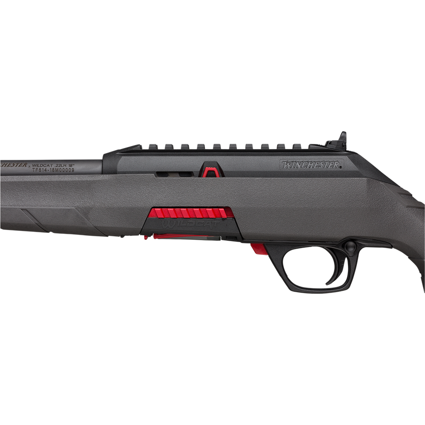 dm-aid--5e3db686-7e83-4e58-9848-173cdc318432-wildcat-threaded-6.png