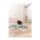 prod1000-dog_32037-13.png