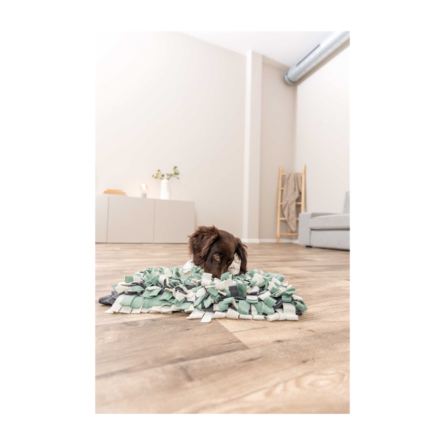 prod1000-dog_32037-13.png