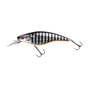 Aurora Zebra