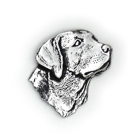 Pew_Labrador's Head.png