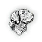 Labradors Huvud