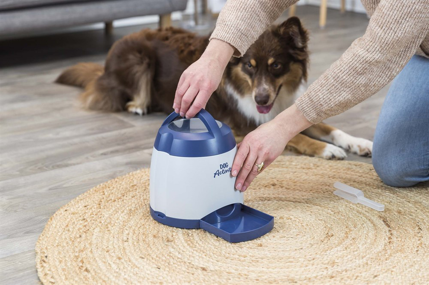 prod1000-australianshepherd-32040-wohnzimmer-1.png