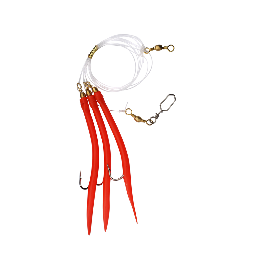 1581052_ms.png