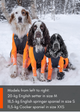 protector_snow_setting_2_dc6b5403-1faf-4eef-82eb-8807799f874e.png
