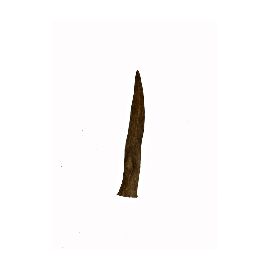 cdn-shop-files-199546877-origpic-3d082e_900x.png