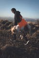 dog_rescue_sling_setting_1.jpg
